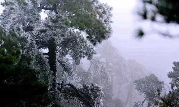 环江高铁配套设施项目工程加速推进